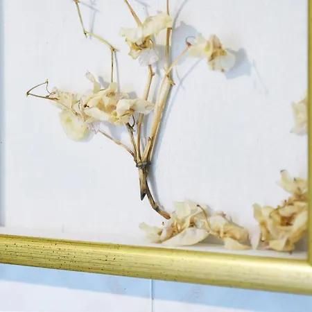 公寓 Sole 阿巴诺泰尔梅